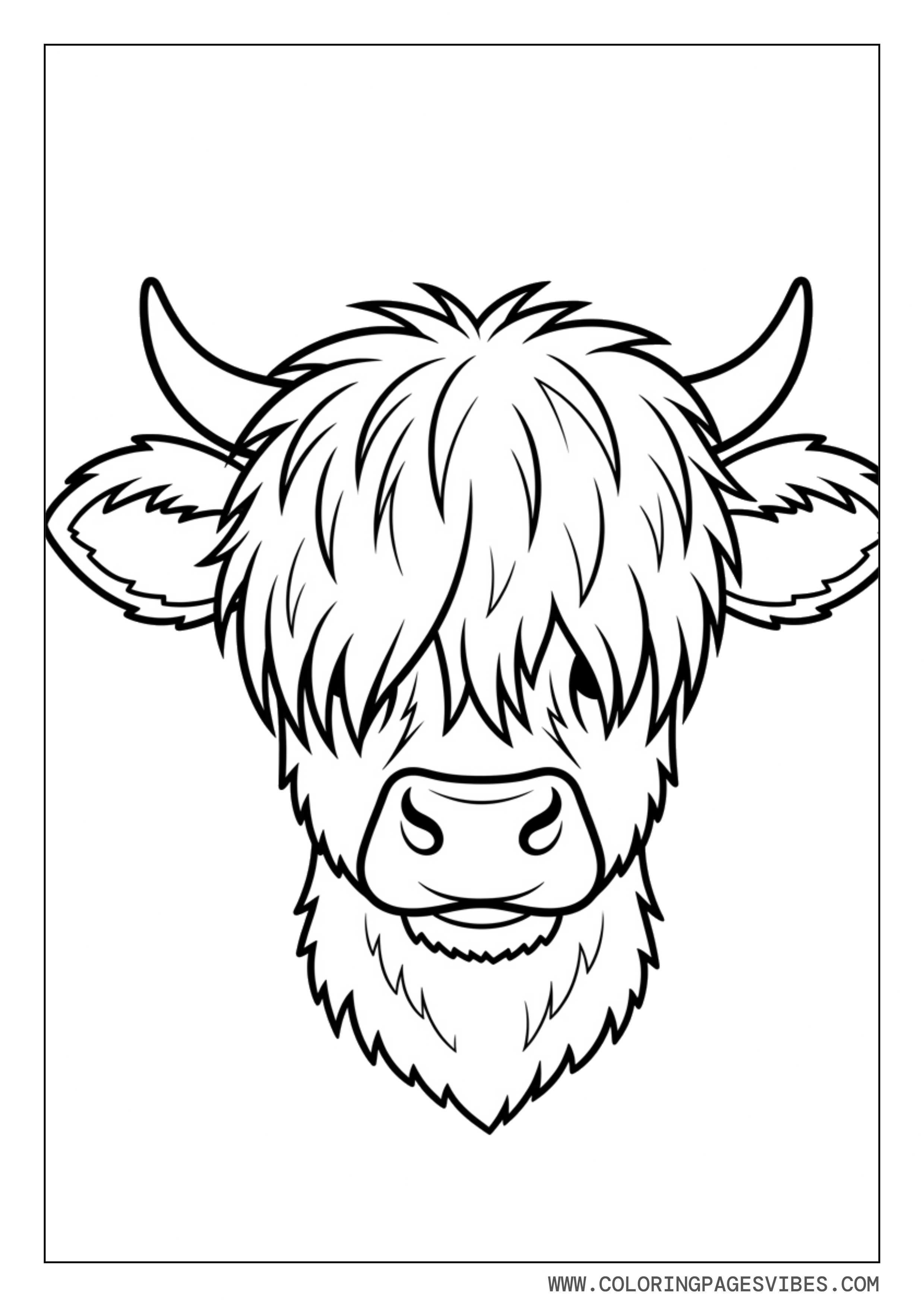 Cute Baby Highland Cow Close-Up