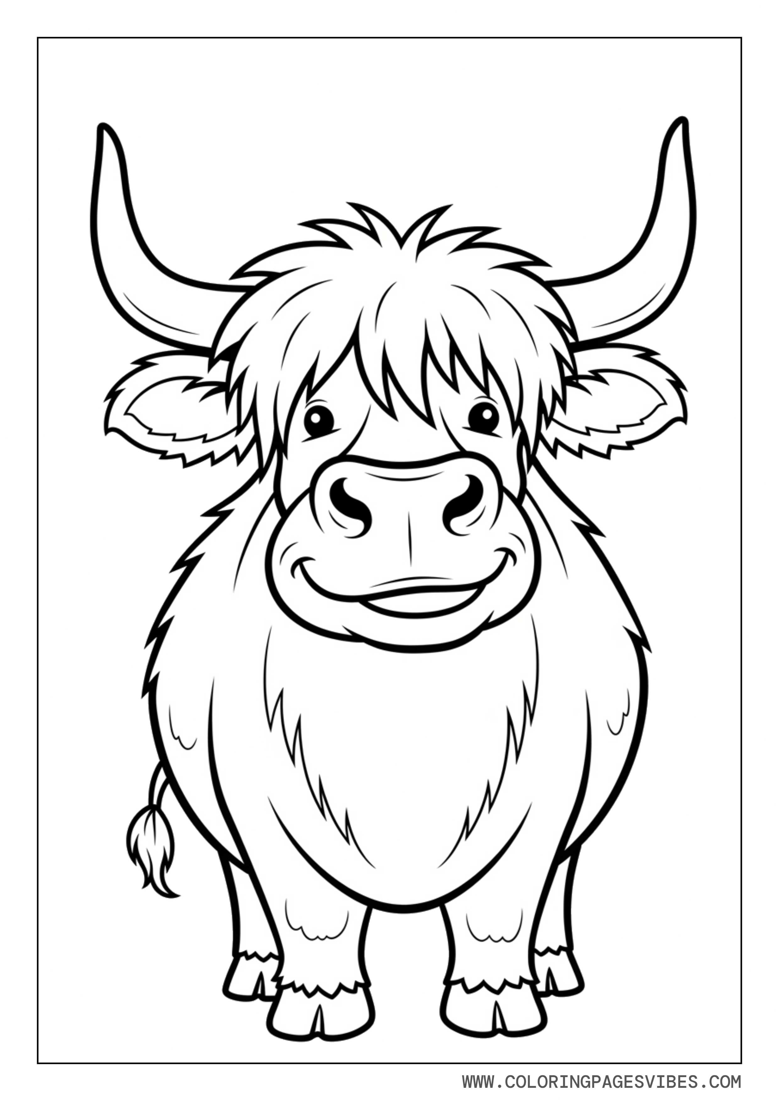 Funny Highland Cow