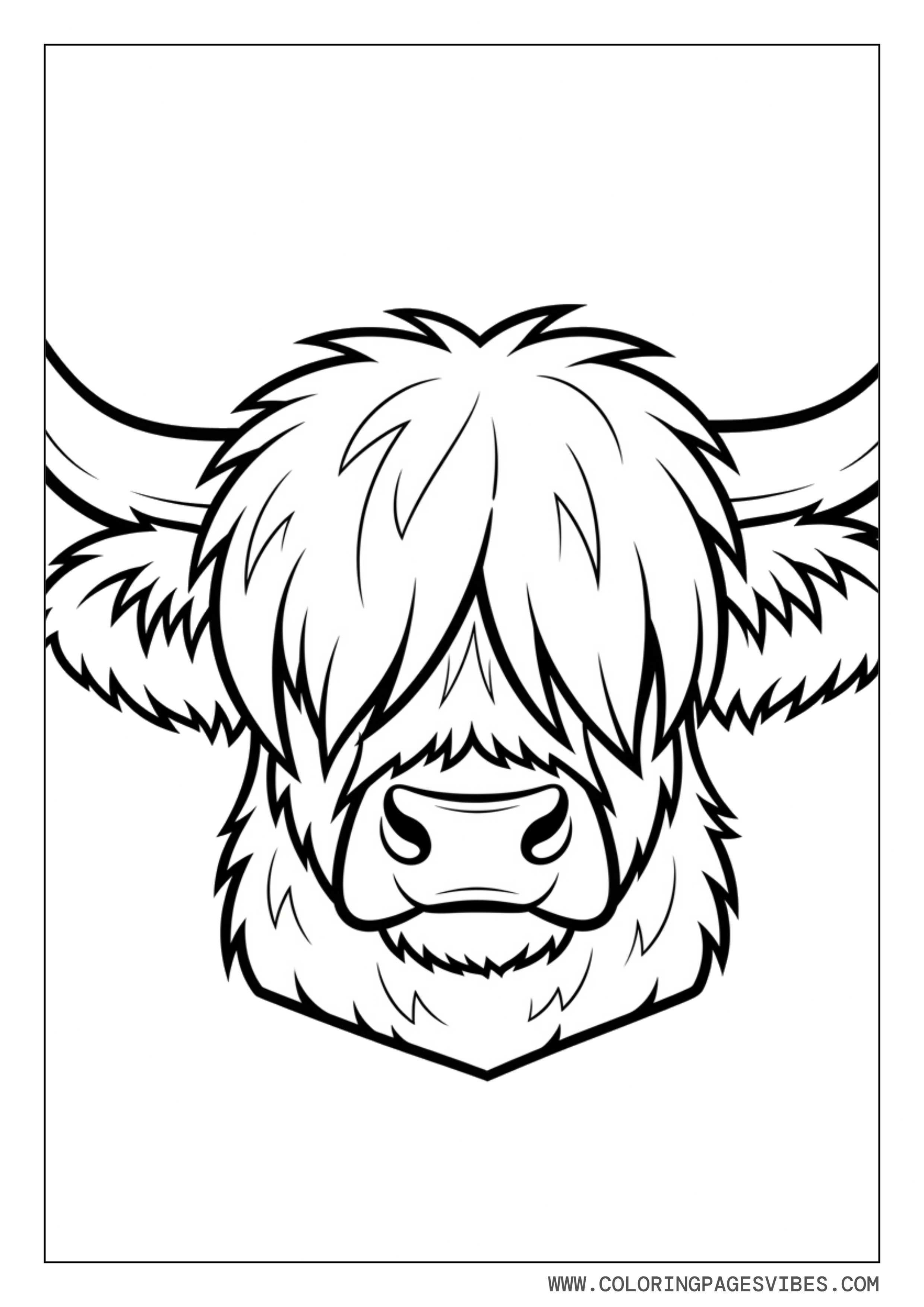 Highland Cow Face Portrait