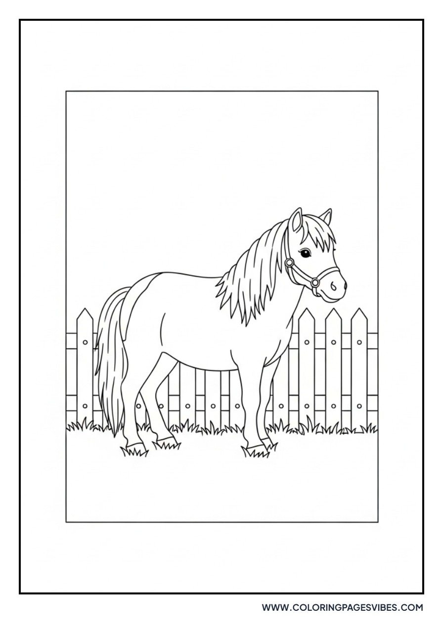 Pony and Small Fence