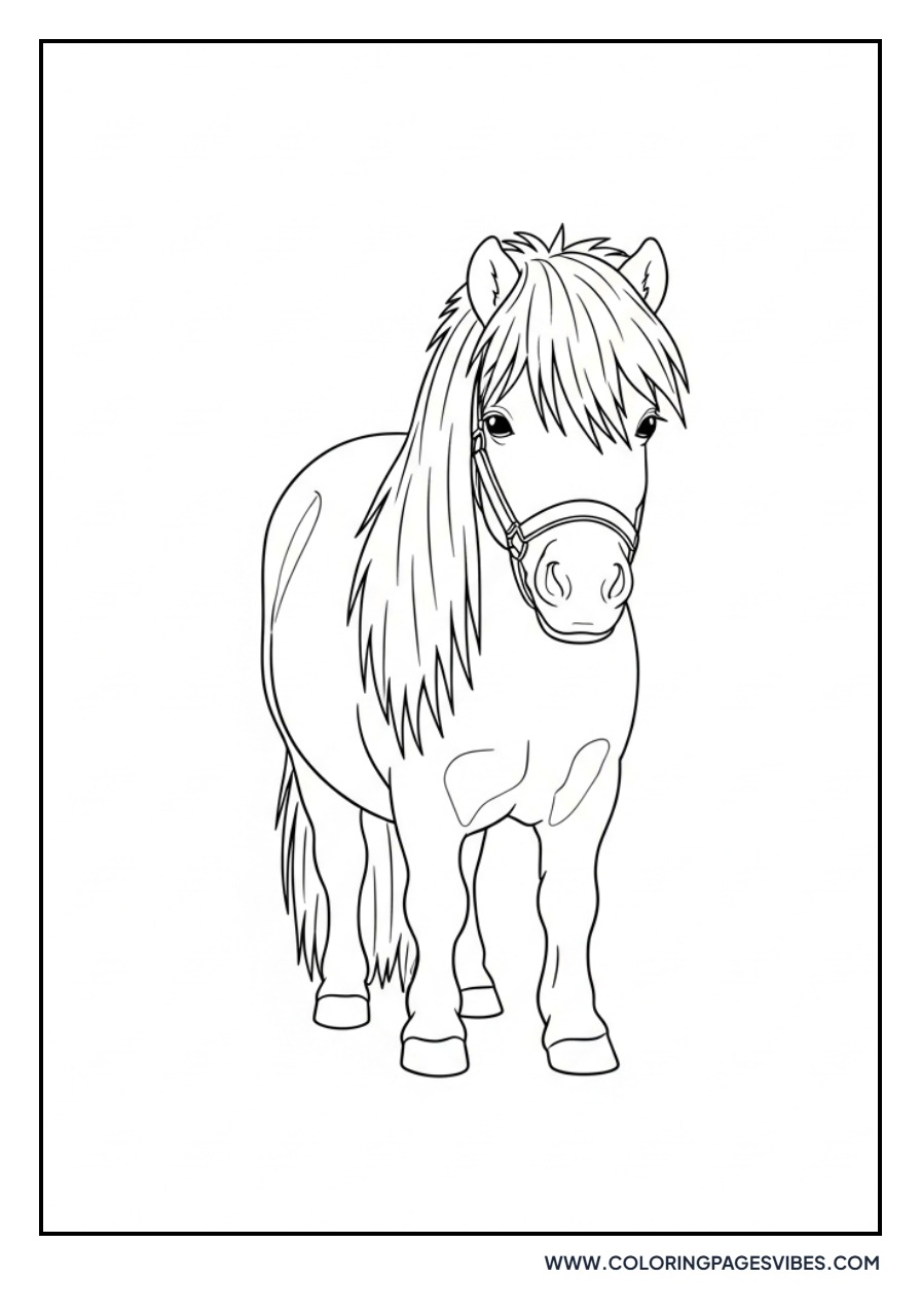 Tiny Shetland Pony