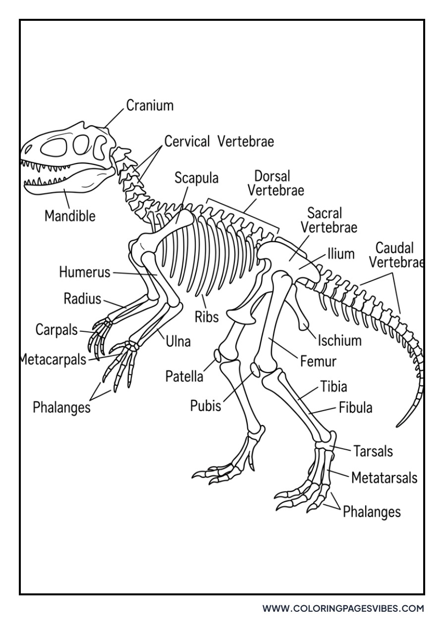 Skeleton of Indominus Rex
