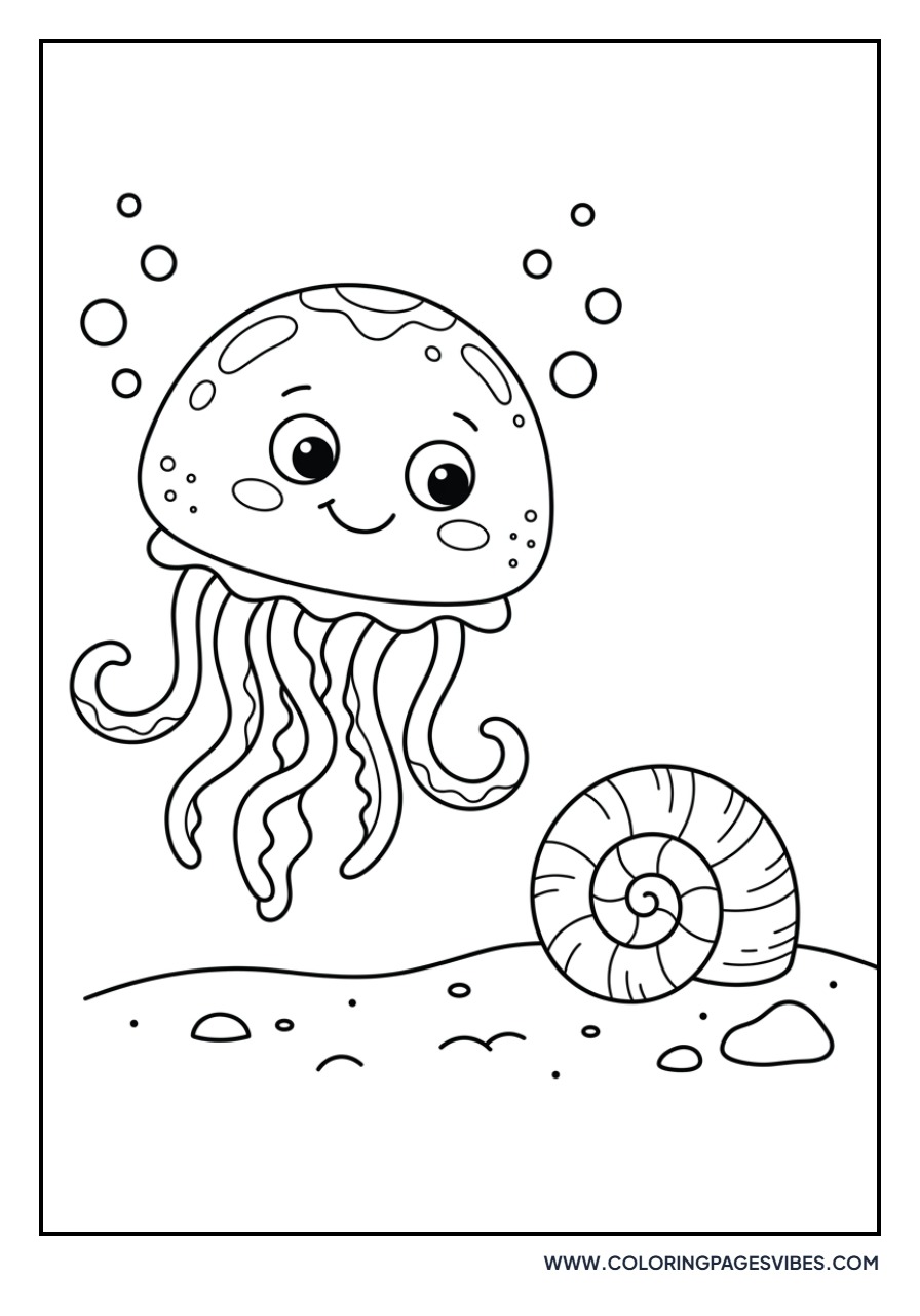Jellyfish and a Seashell