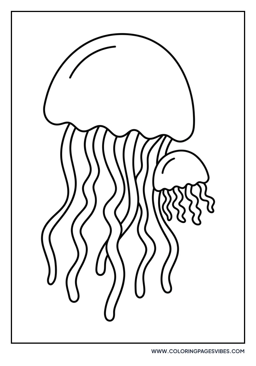 Jellyfish Family with Baby