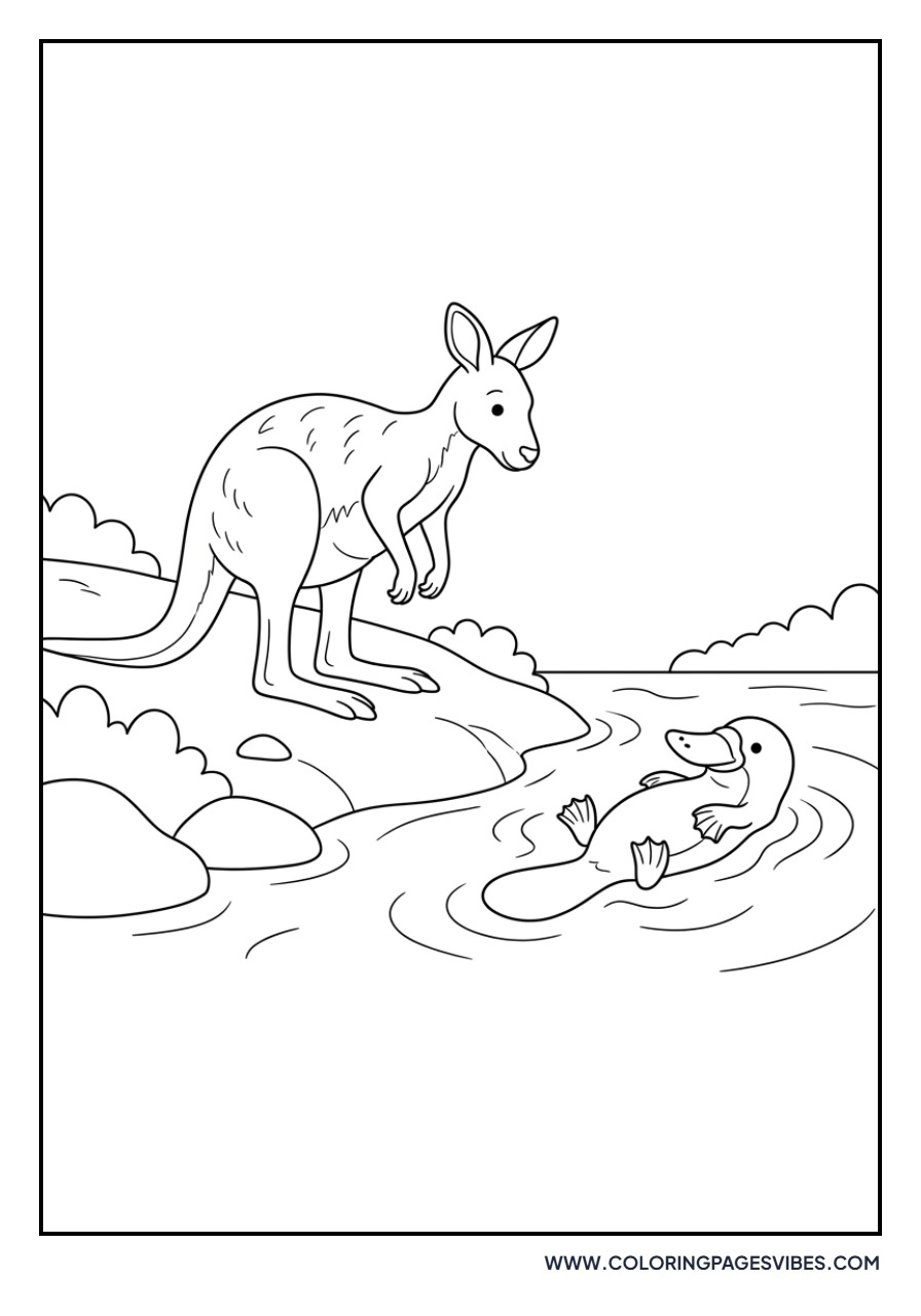 Kangaroo and Platypus