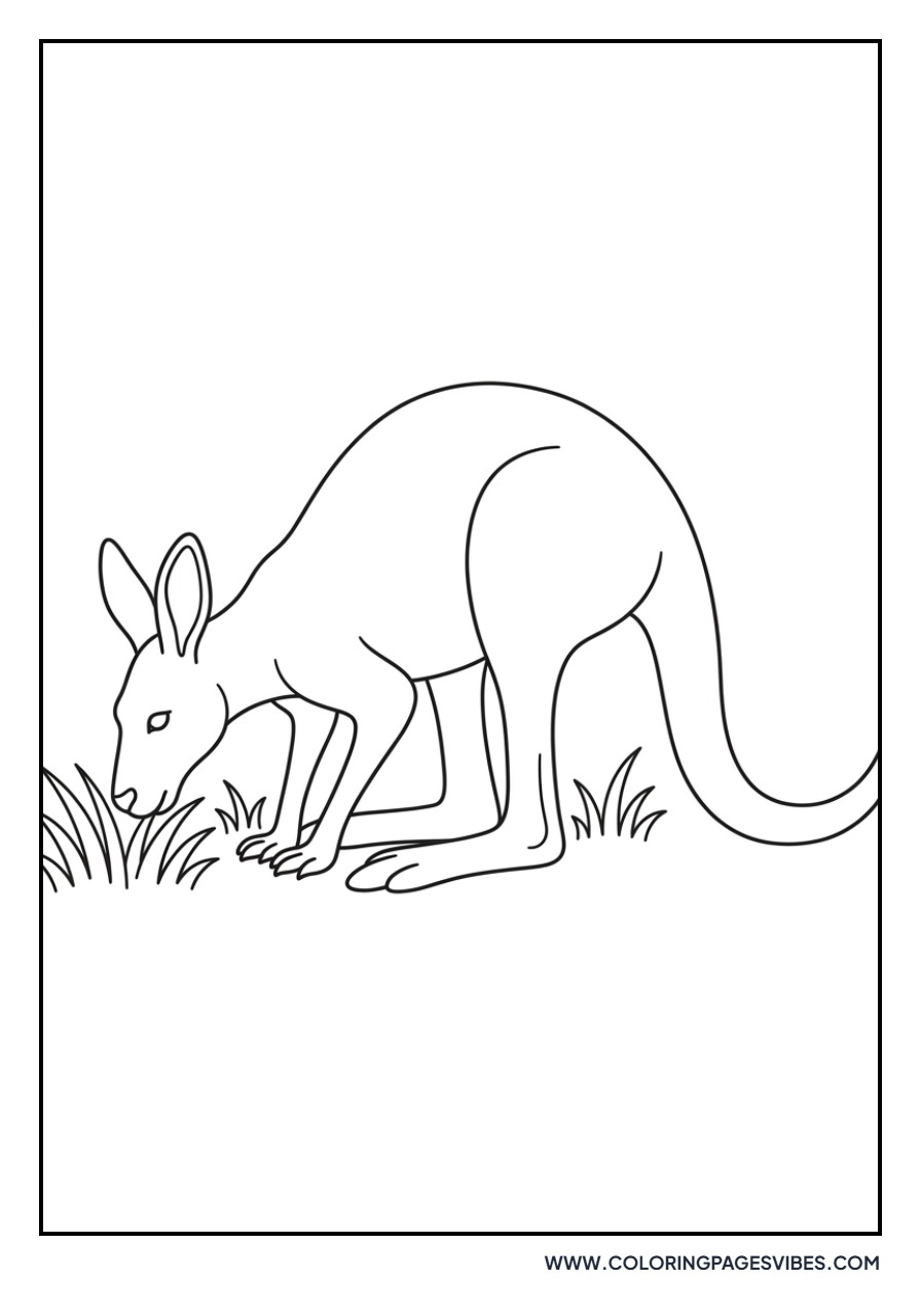 Kangaroo Eating Grass