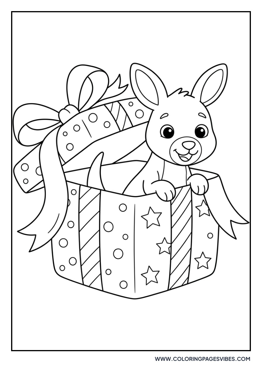 Kangaroo in a Birthday Box