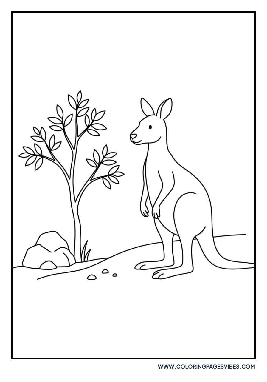 Kangaroo in the Outback