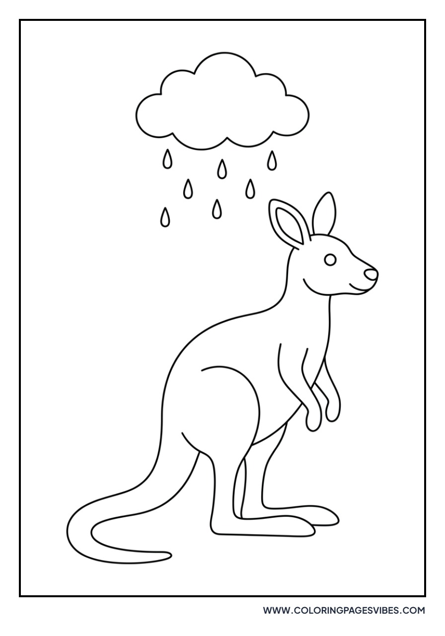Kangaroo in the Rain