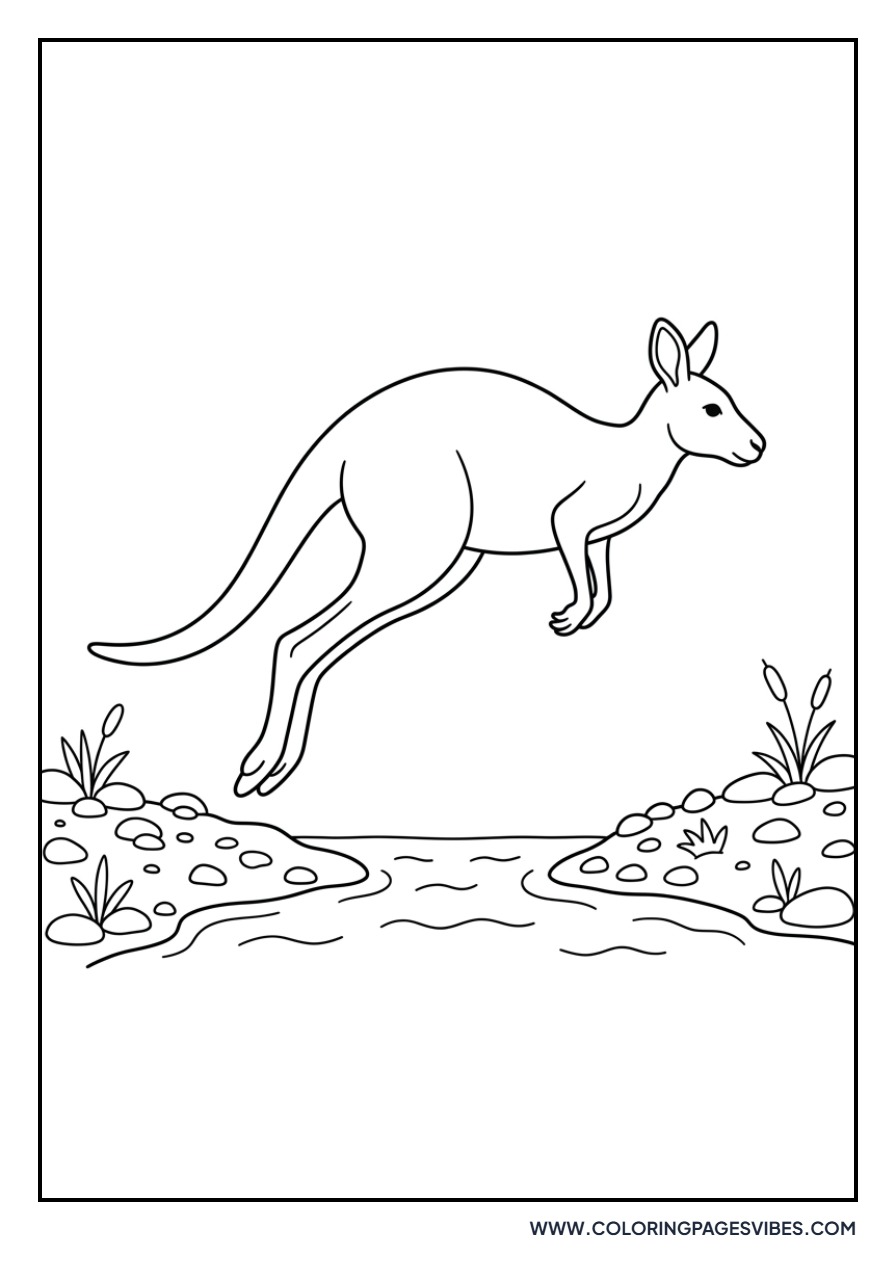 Kangaroo Jumping Over a Stream