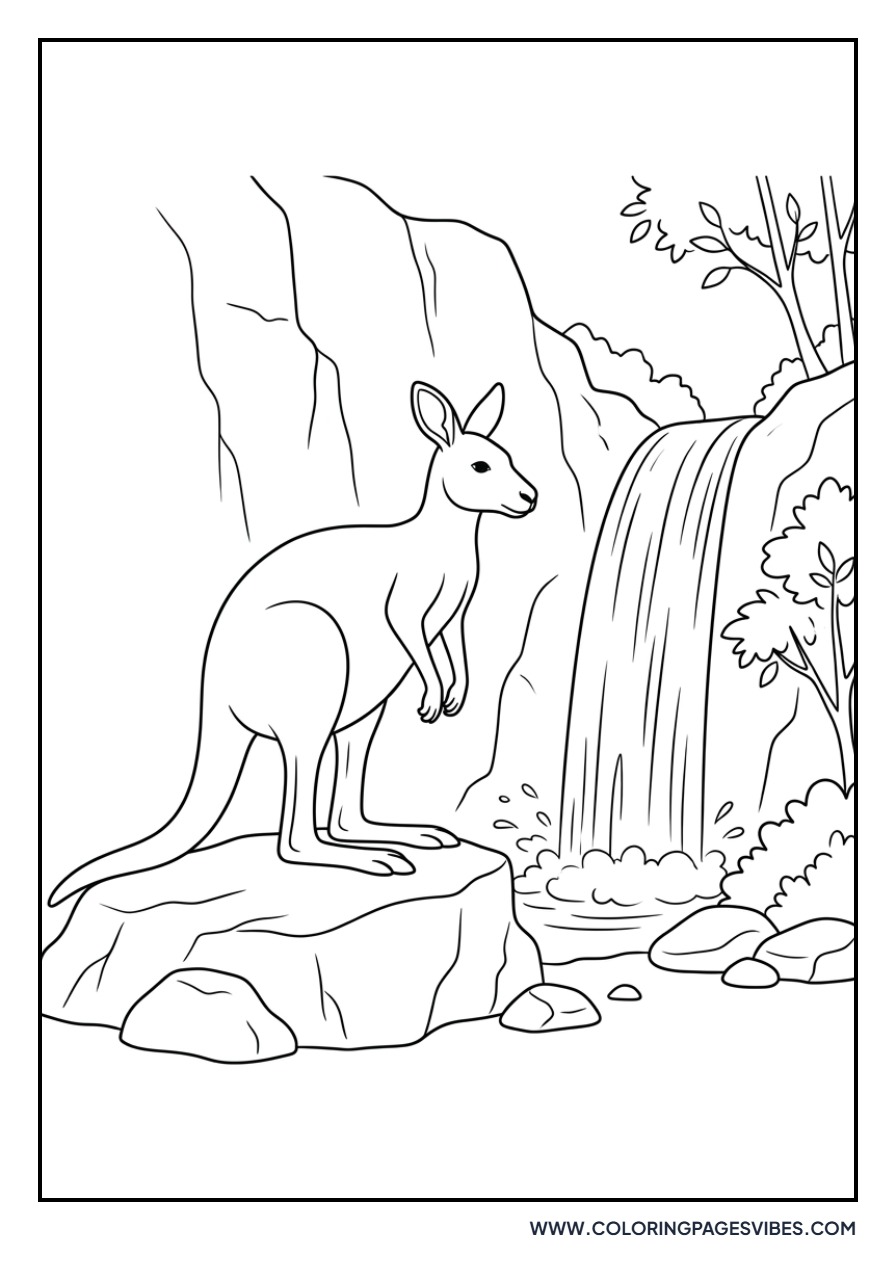 Kangaroo near a Waterfall