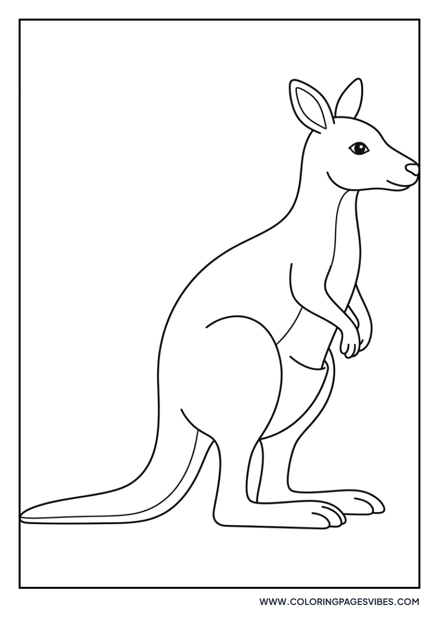 Kangaroo Sitting Down