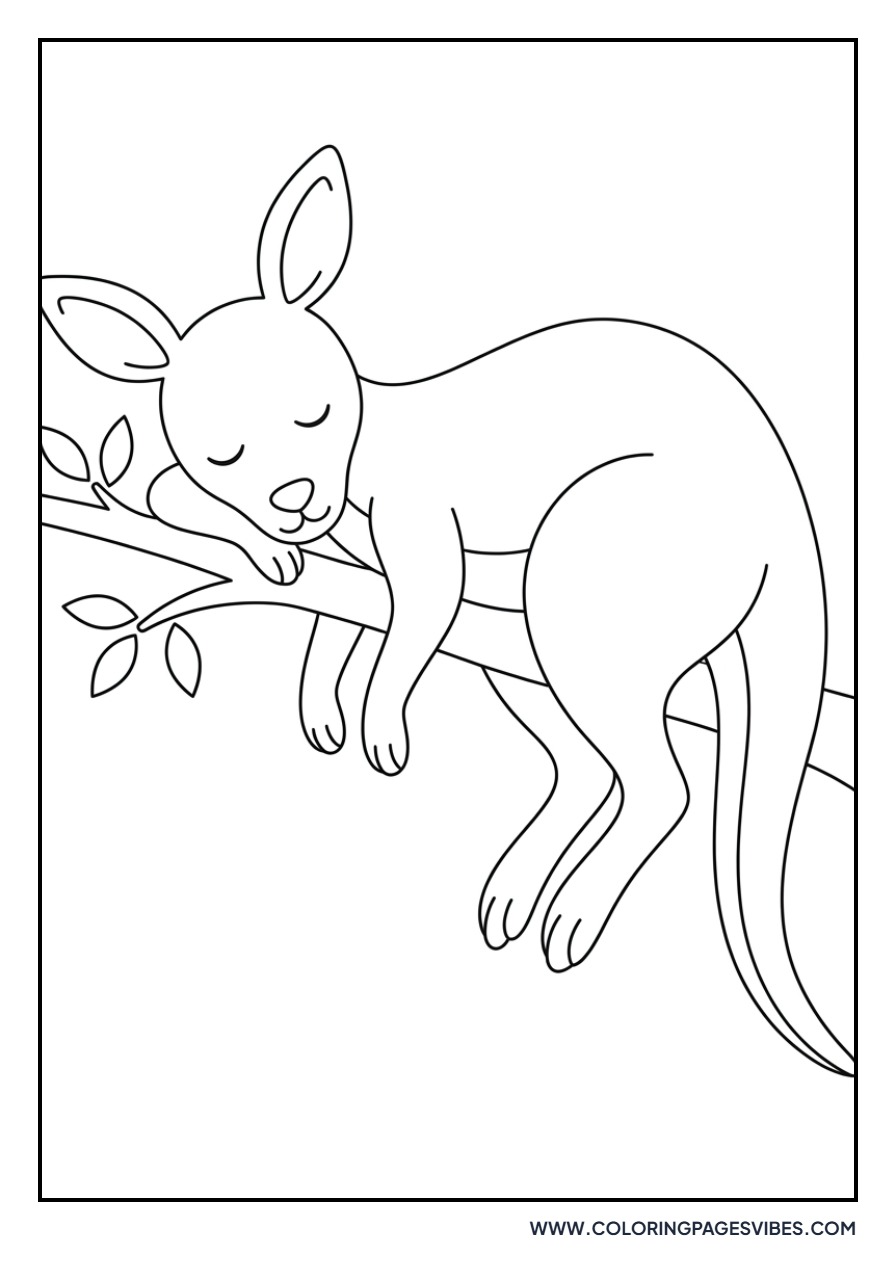 Kangaroo Sleeping on a Branch