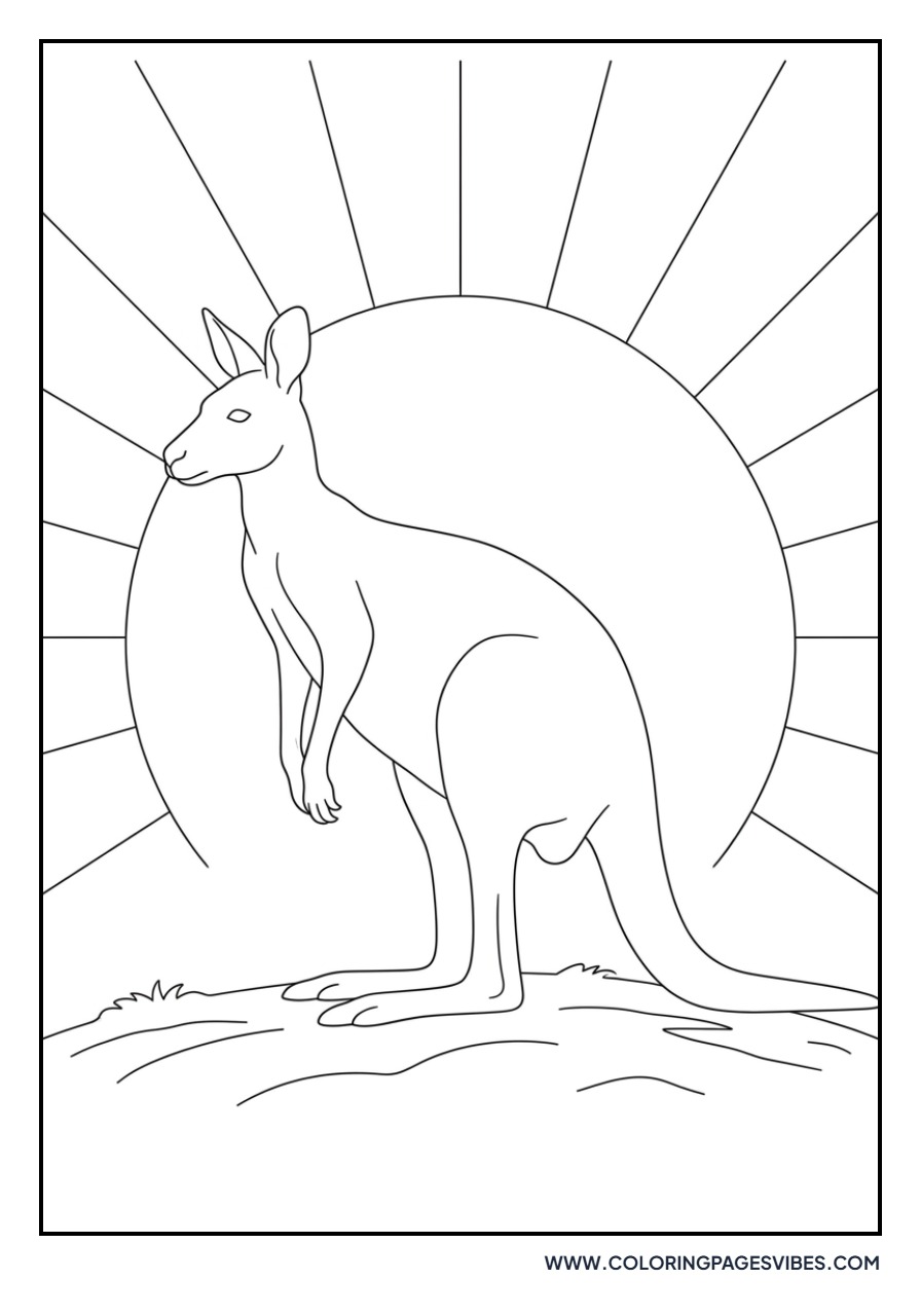 Kangaroo Under the Sun