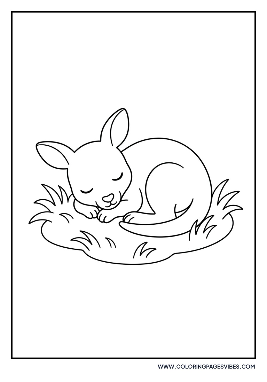 Sleeping Baby Kangaroo