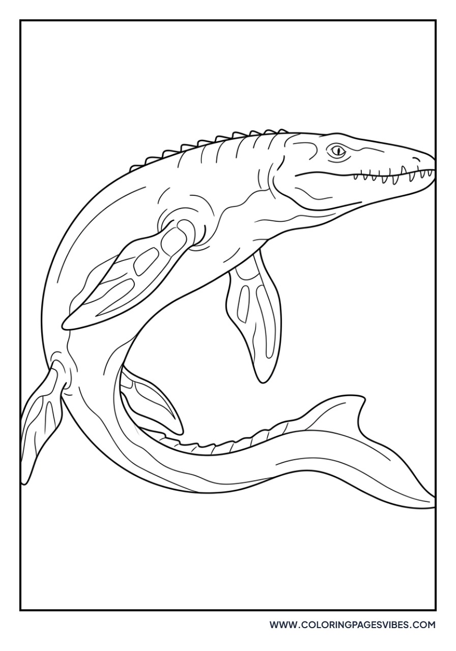 Mosasaurus Flippers Close-up
