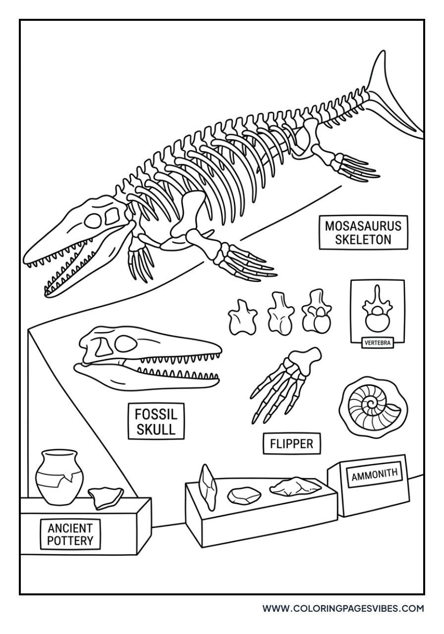 Mosasaurus Fossil Wall