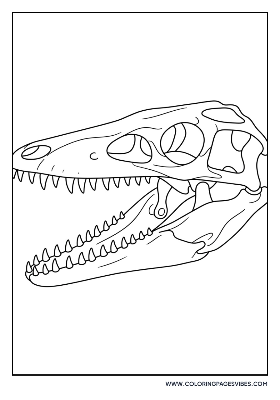 Mosasaurus Skull Close-up