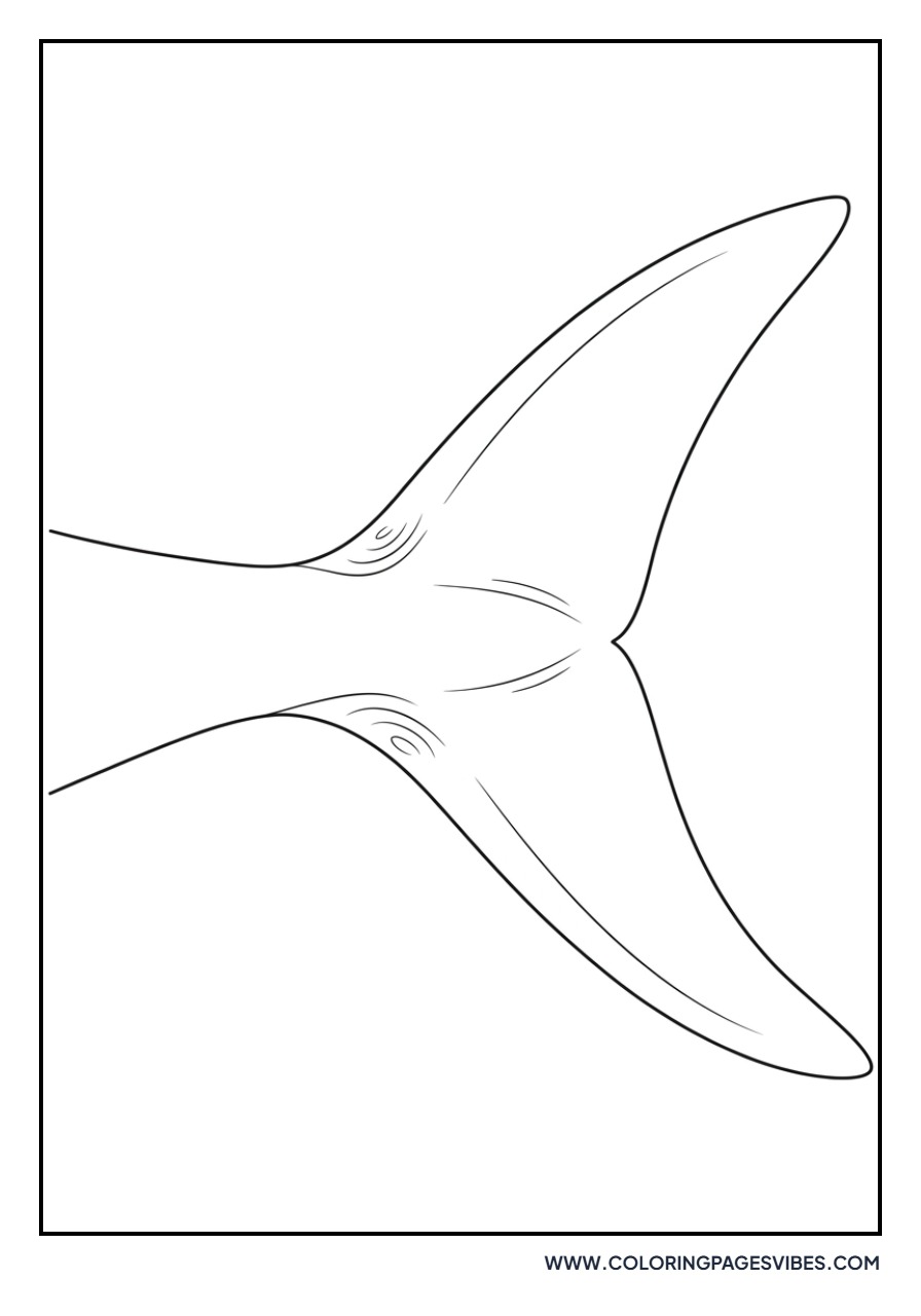 Mosasaurus Tail Fin