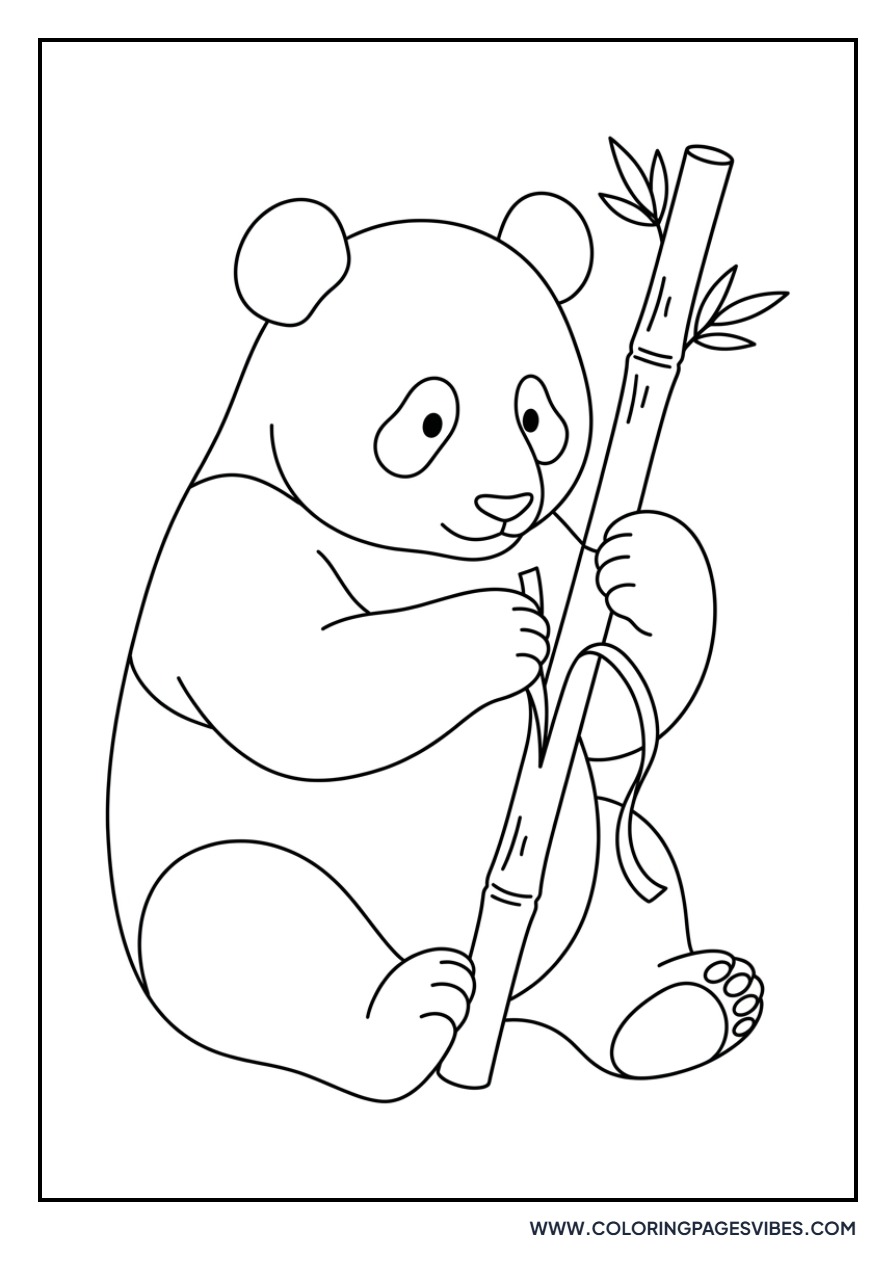 Panda Eating a Giant Stalk