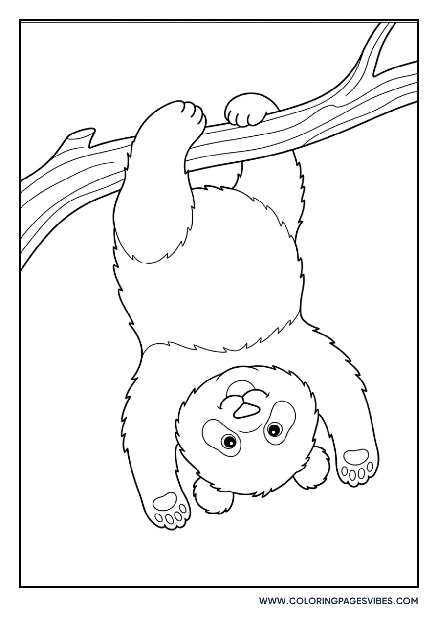 Panda Hanging Upside Down