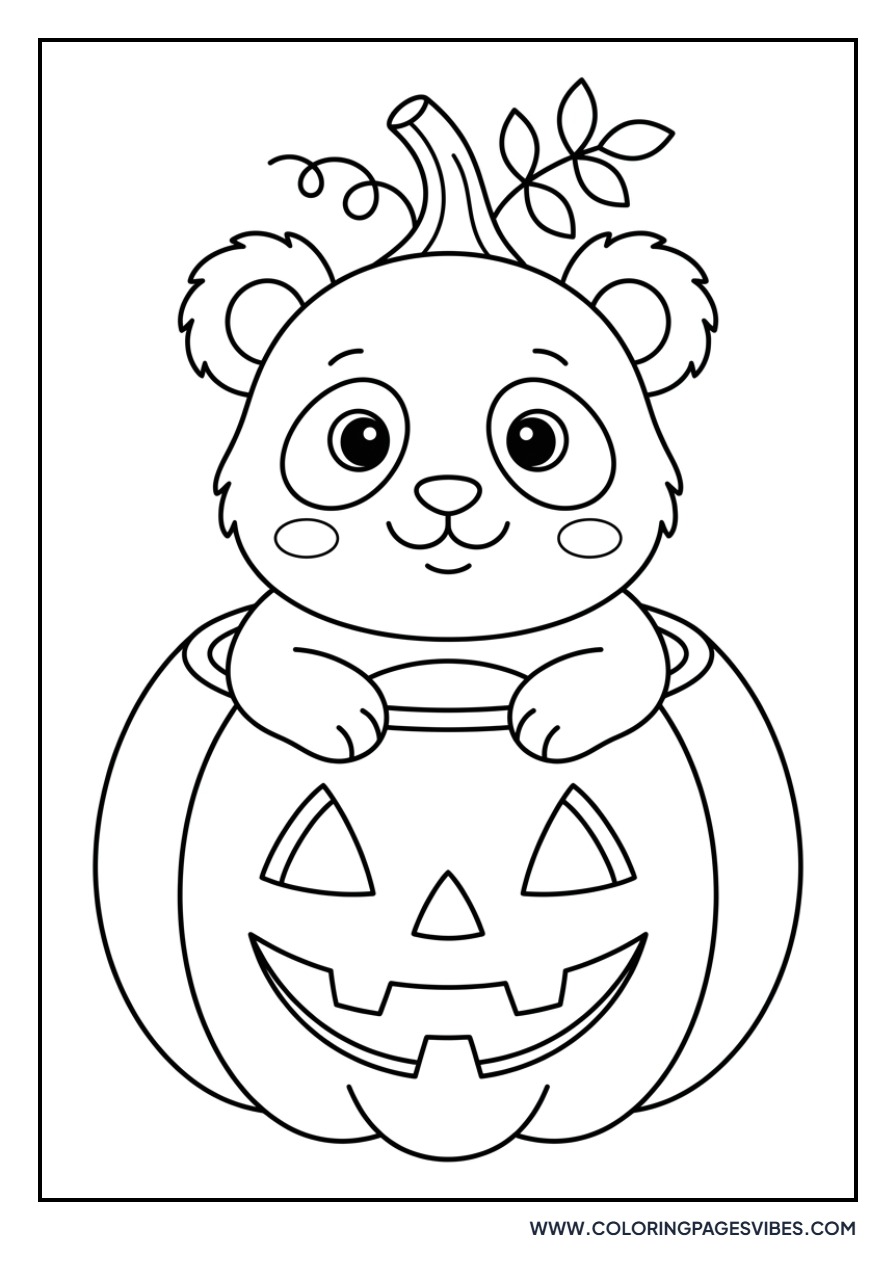 Panda in a Pumpkin