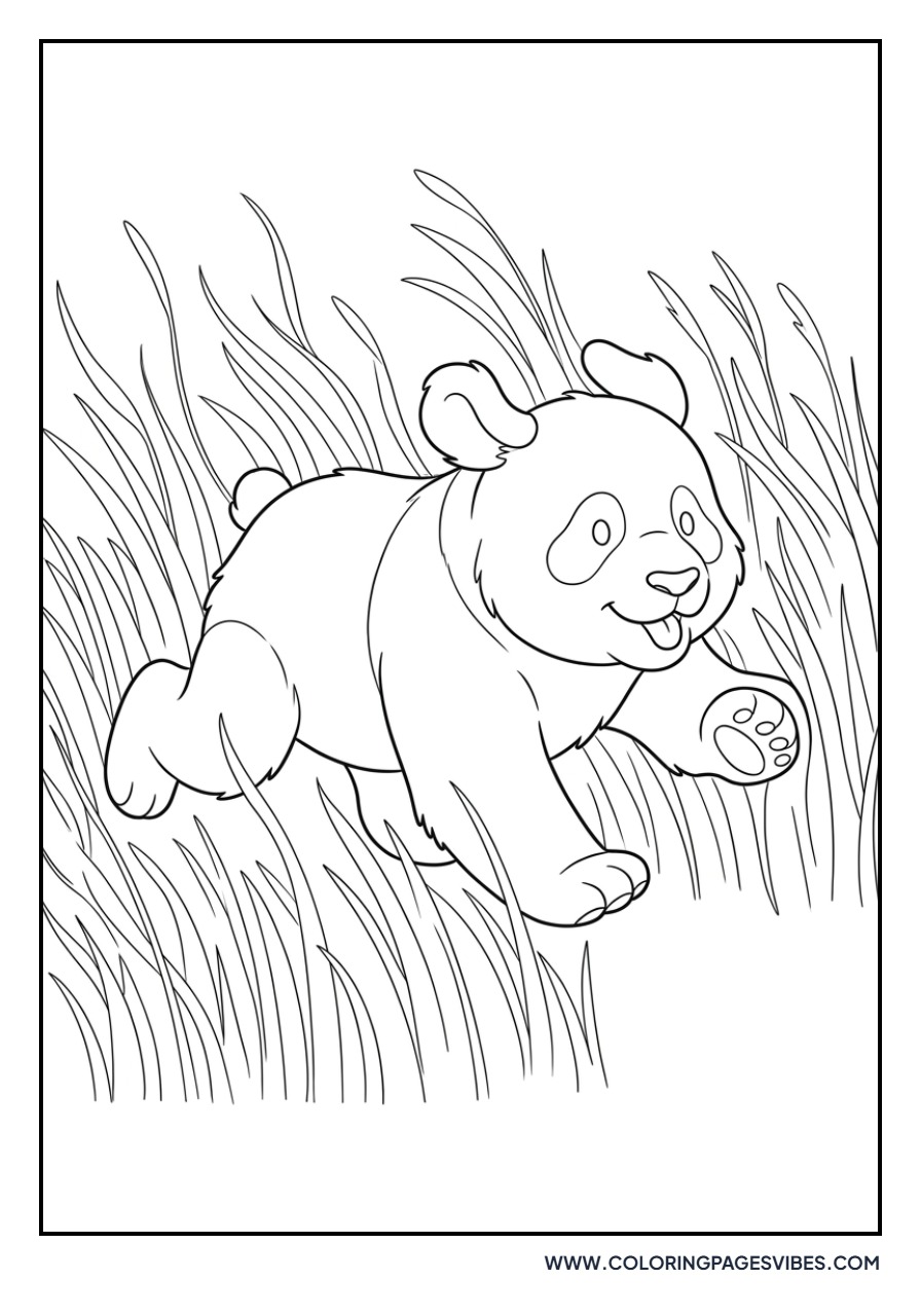 Panda Running in a Field