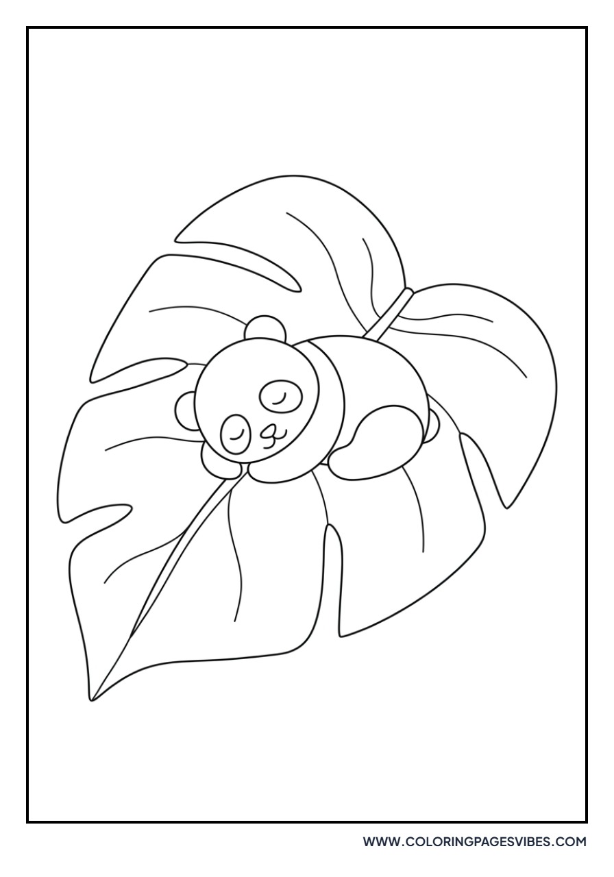 Panda Sleeping on a Large Leaf