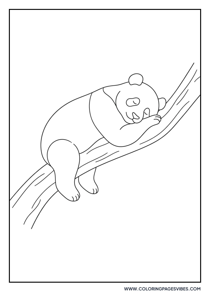 Panda Sleeping on a Tree Branch
