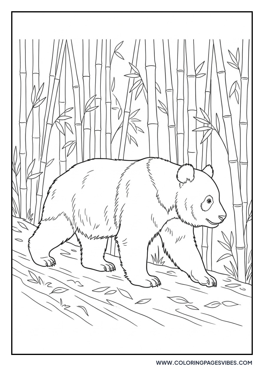 Realistic Giant Panda in Forest