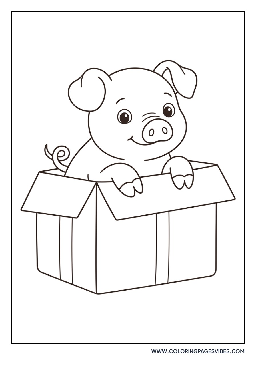 Piglet Peeking out of a Box