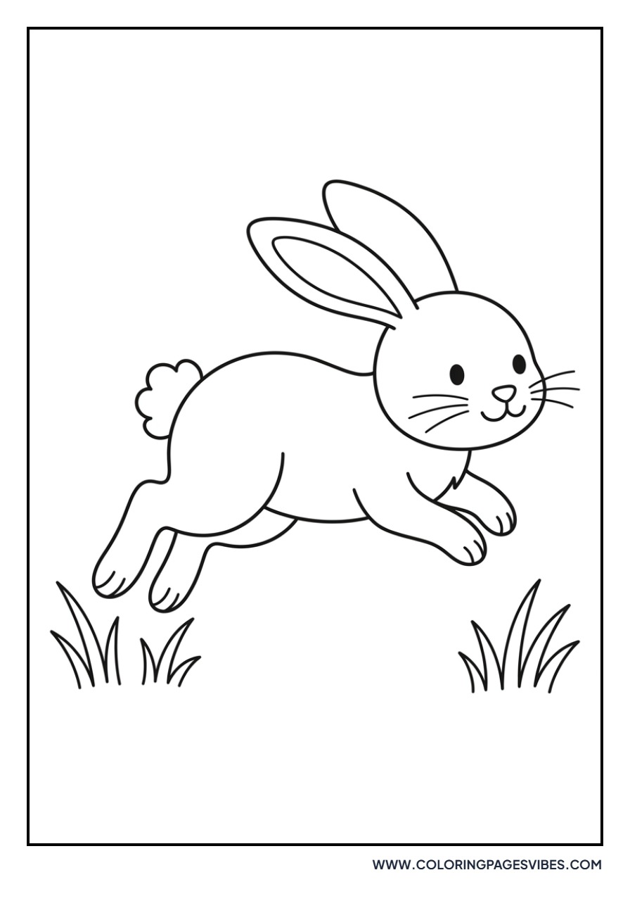 Rabbit Hopping in the Grass