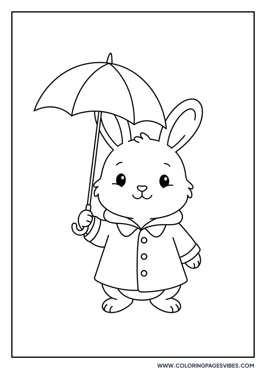 Rabbit in a Raincoat