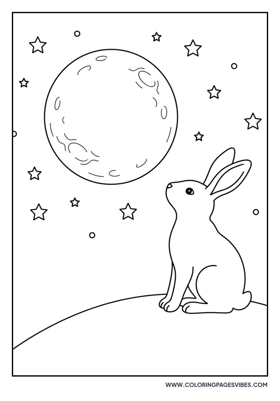 Rabbit Looking at the Moon