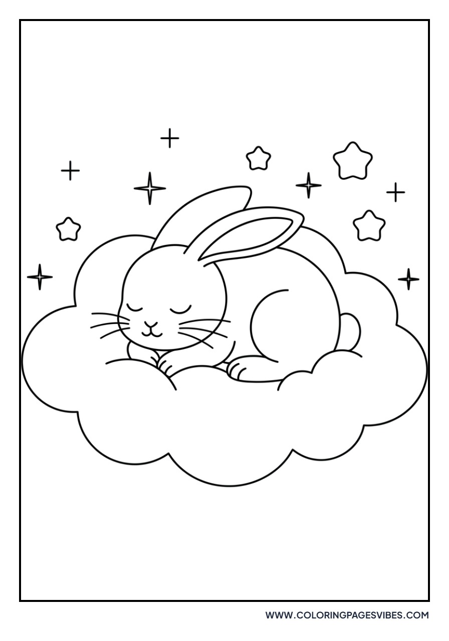 Sleeping Rabbit on a Cloud