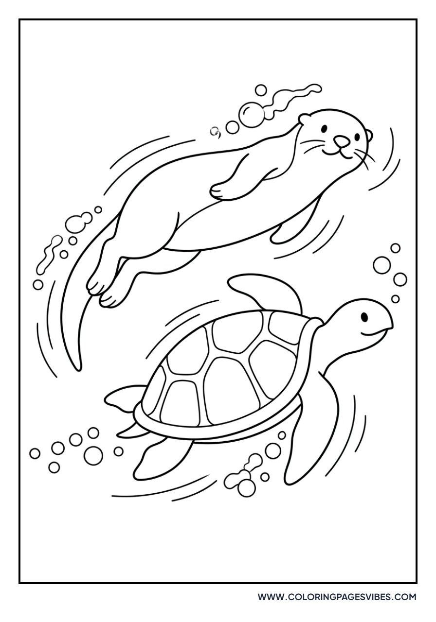 Otter and Turtle Race