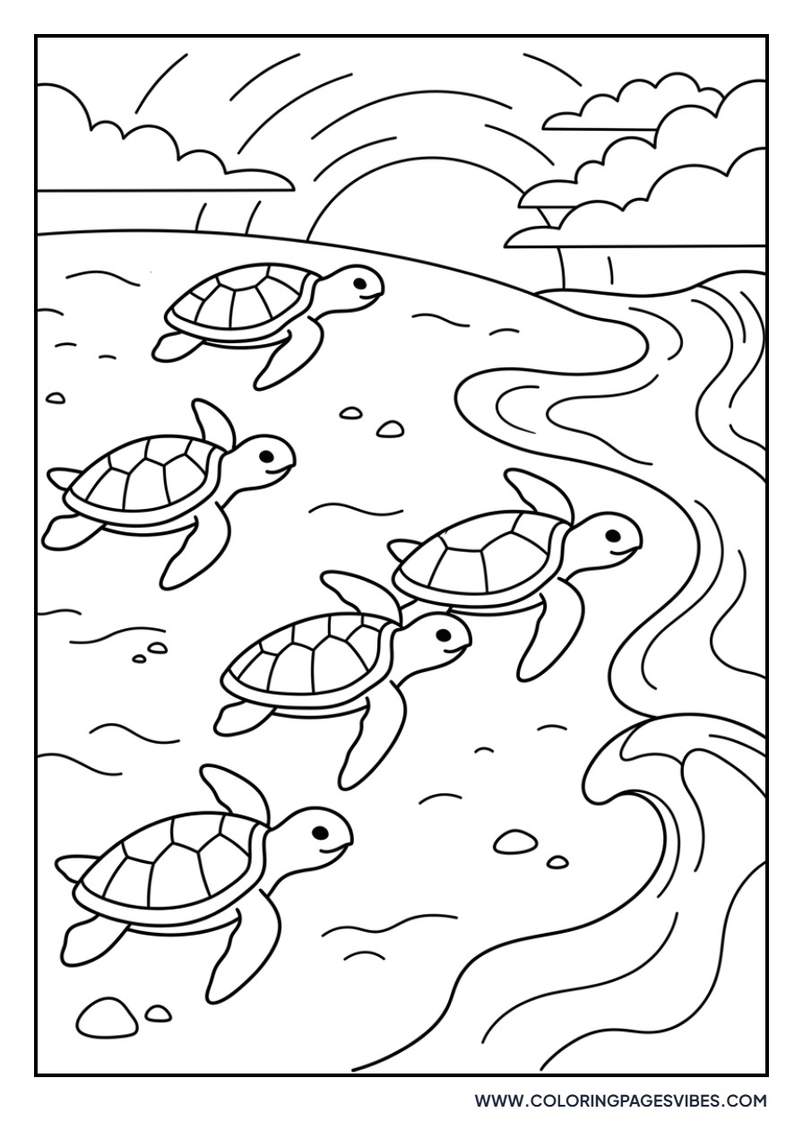 Baby Turtle Beach Run
