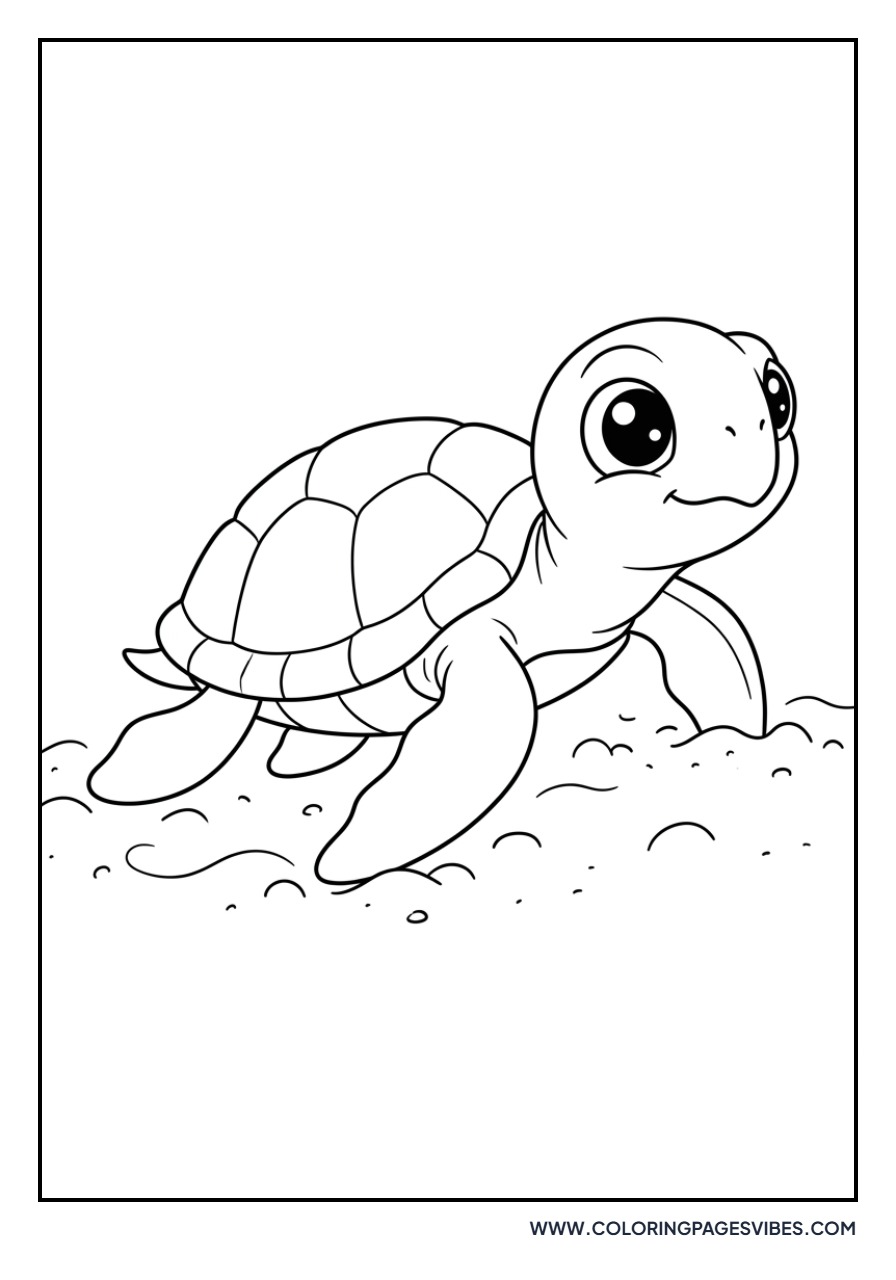 Cute Baby Turtle Hatchling