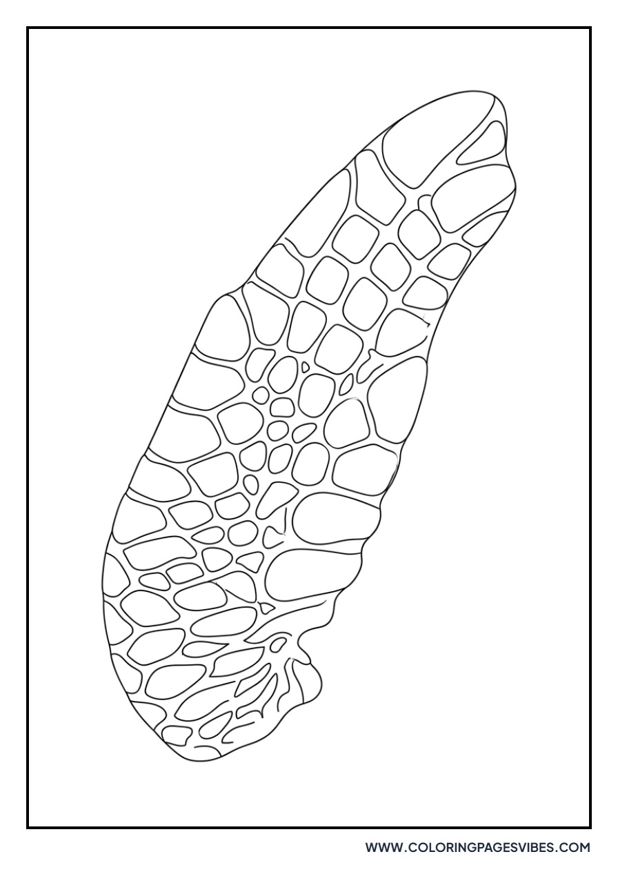 Detailed Flipper Texture