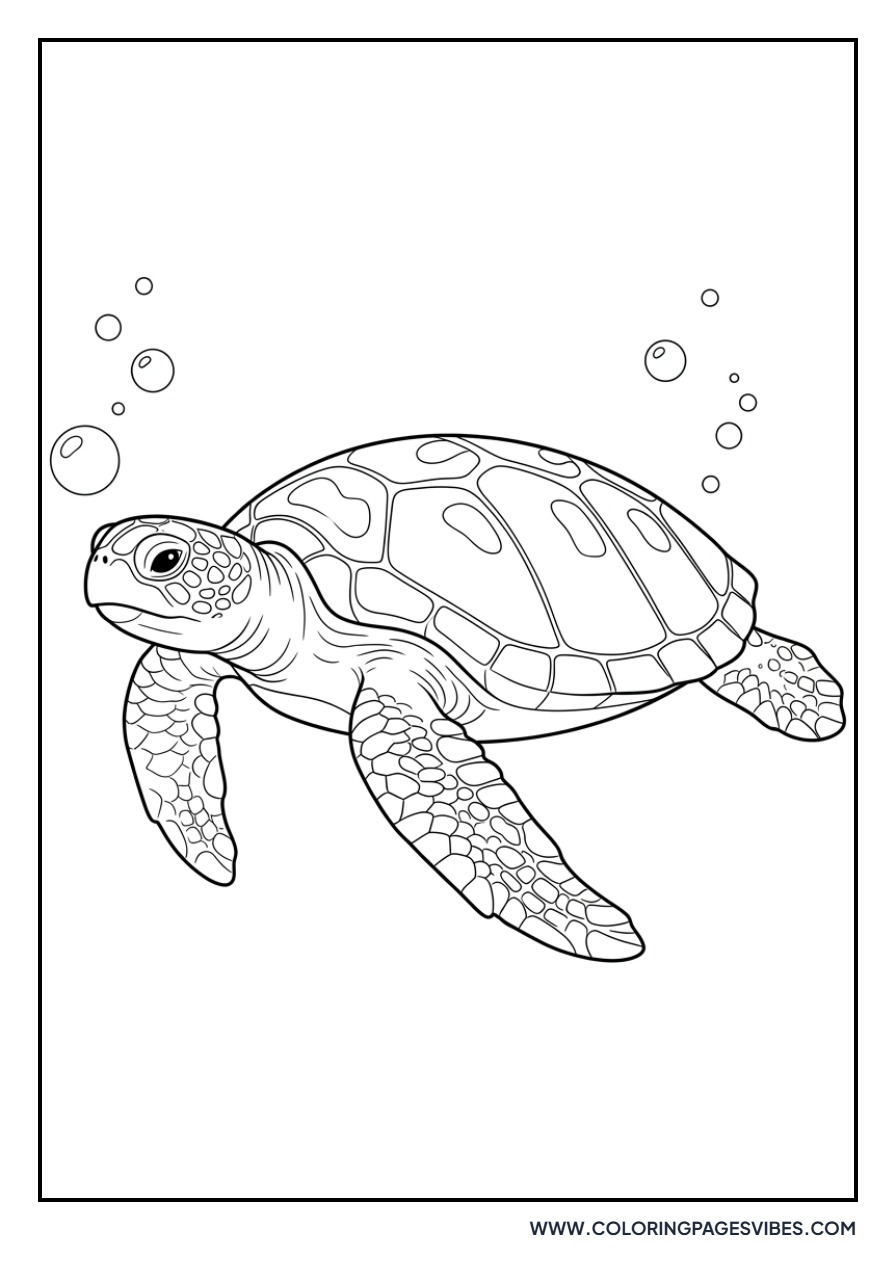 Flatback Sea Turtle