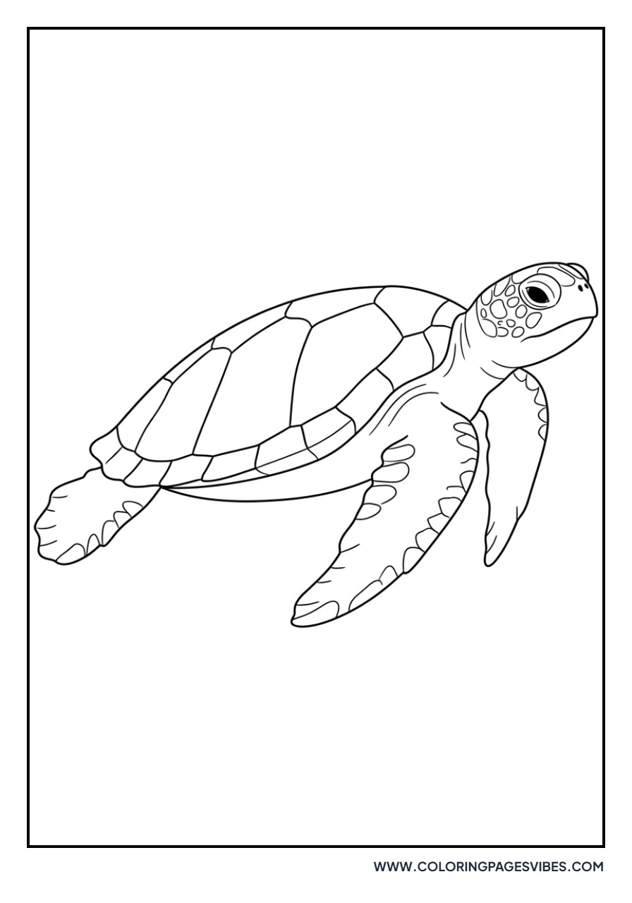 Graceful Green Sea Turtle
