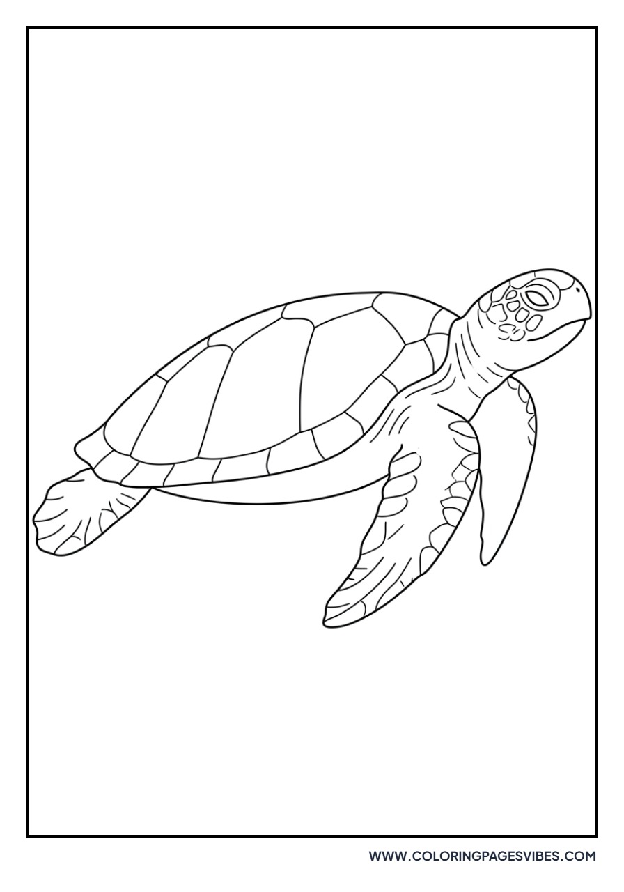 High Detail Sea Turtle Scale