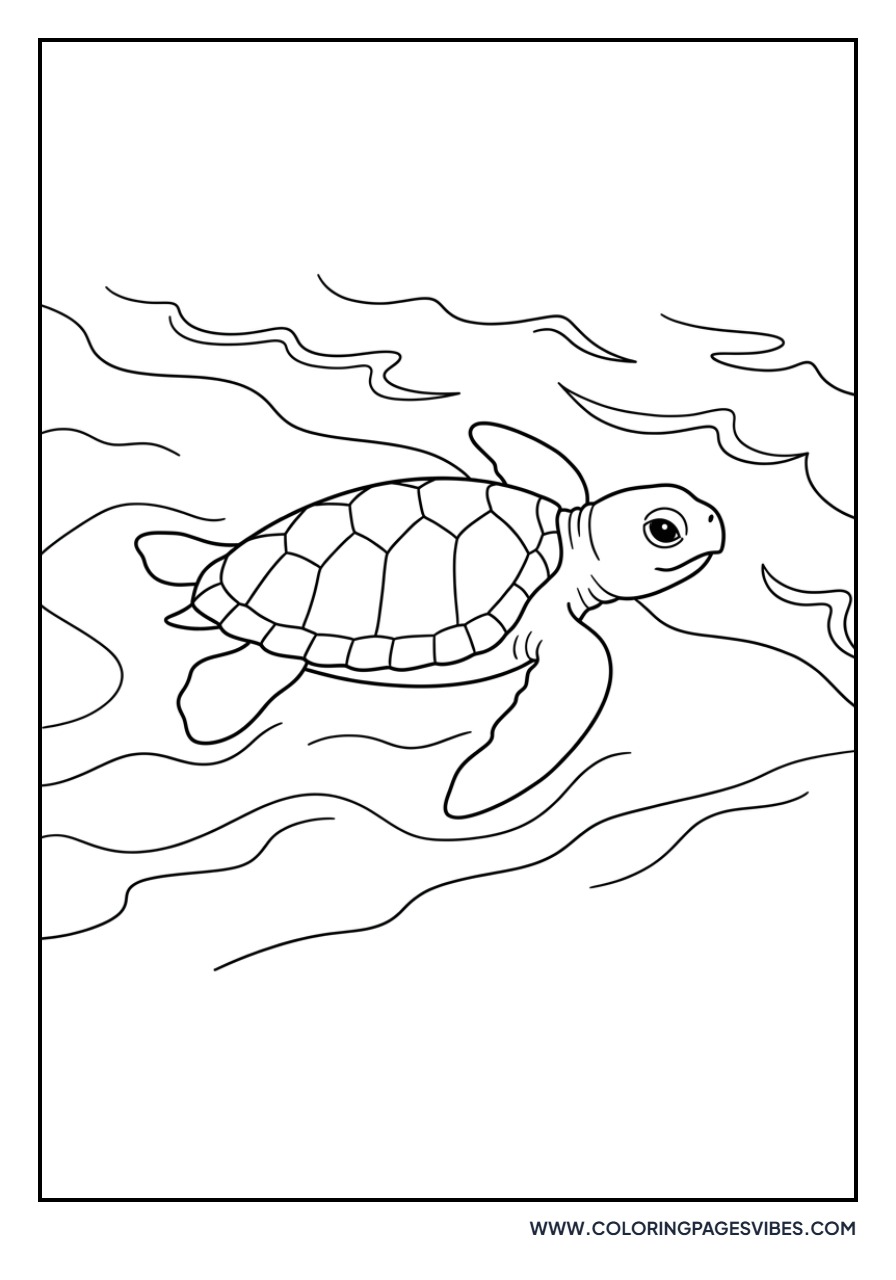 Kemp's Ridley Hatchling