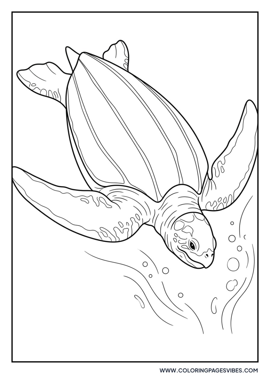 Leatherback Turtle Deep Sea
