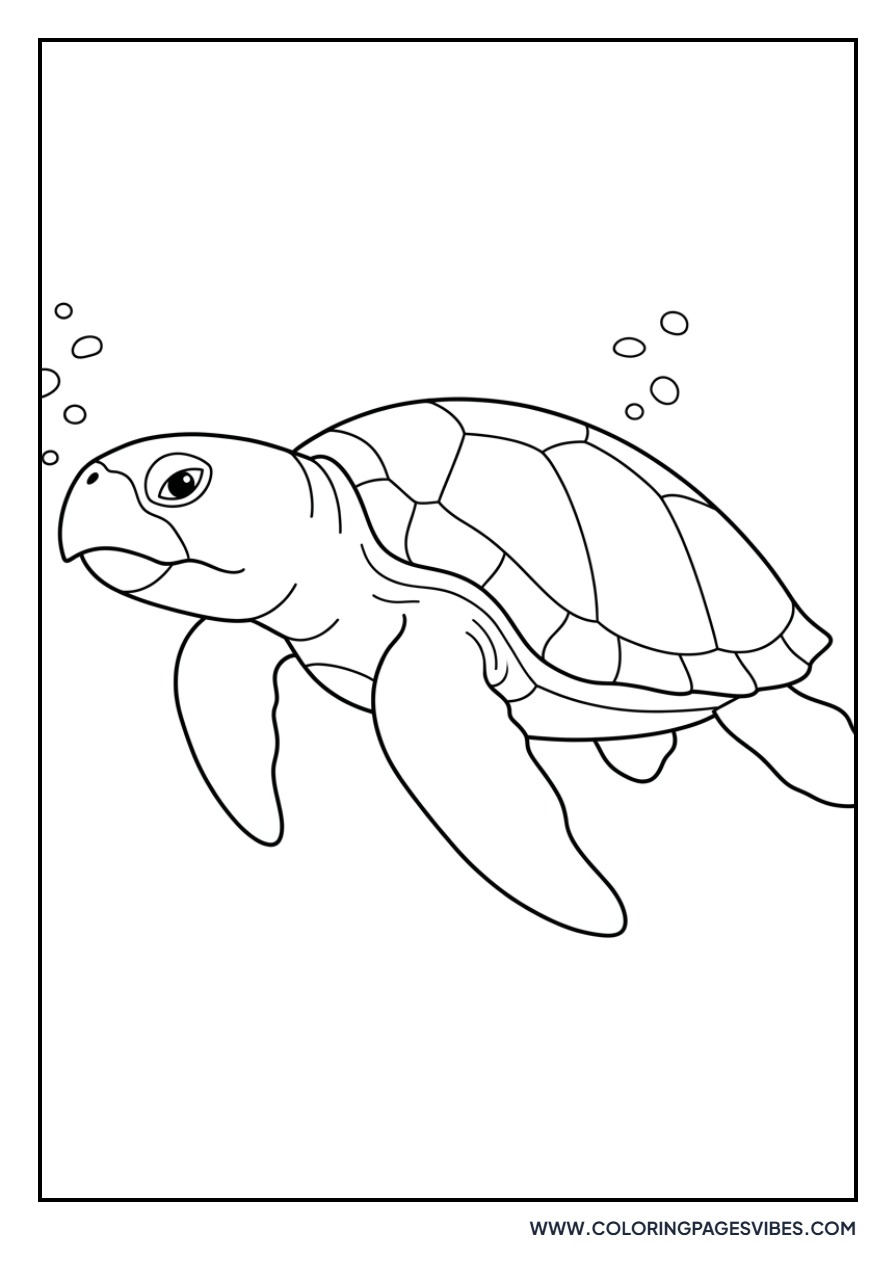 Loggerhead Turtle Profile