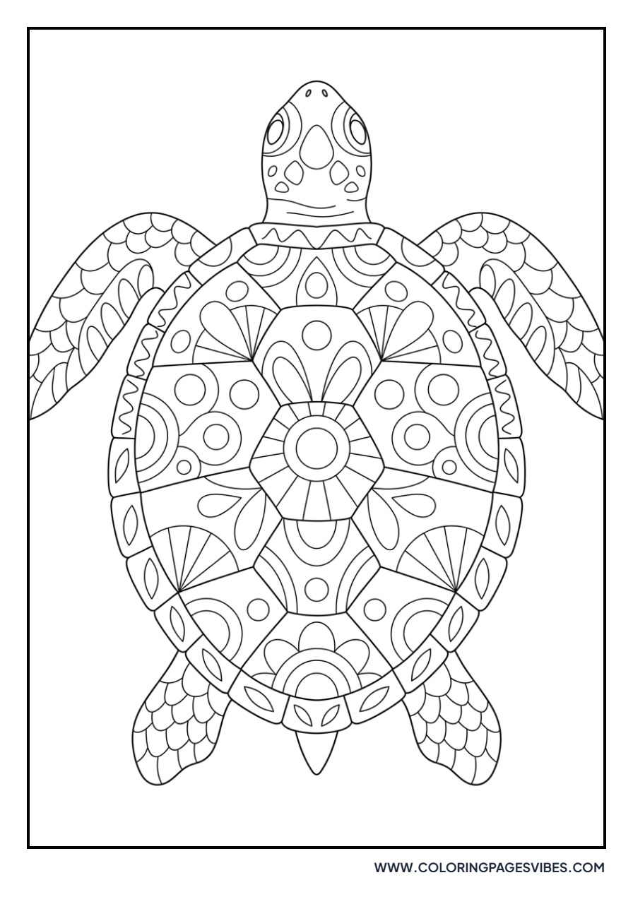 Mandala Sea Turtle Shell