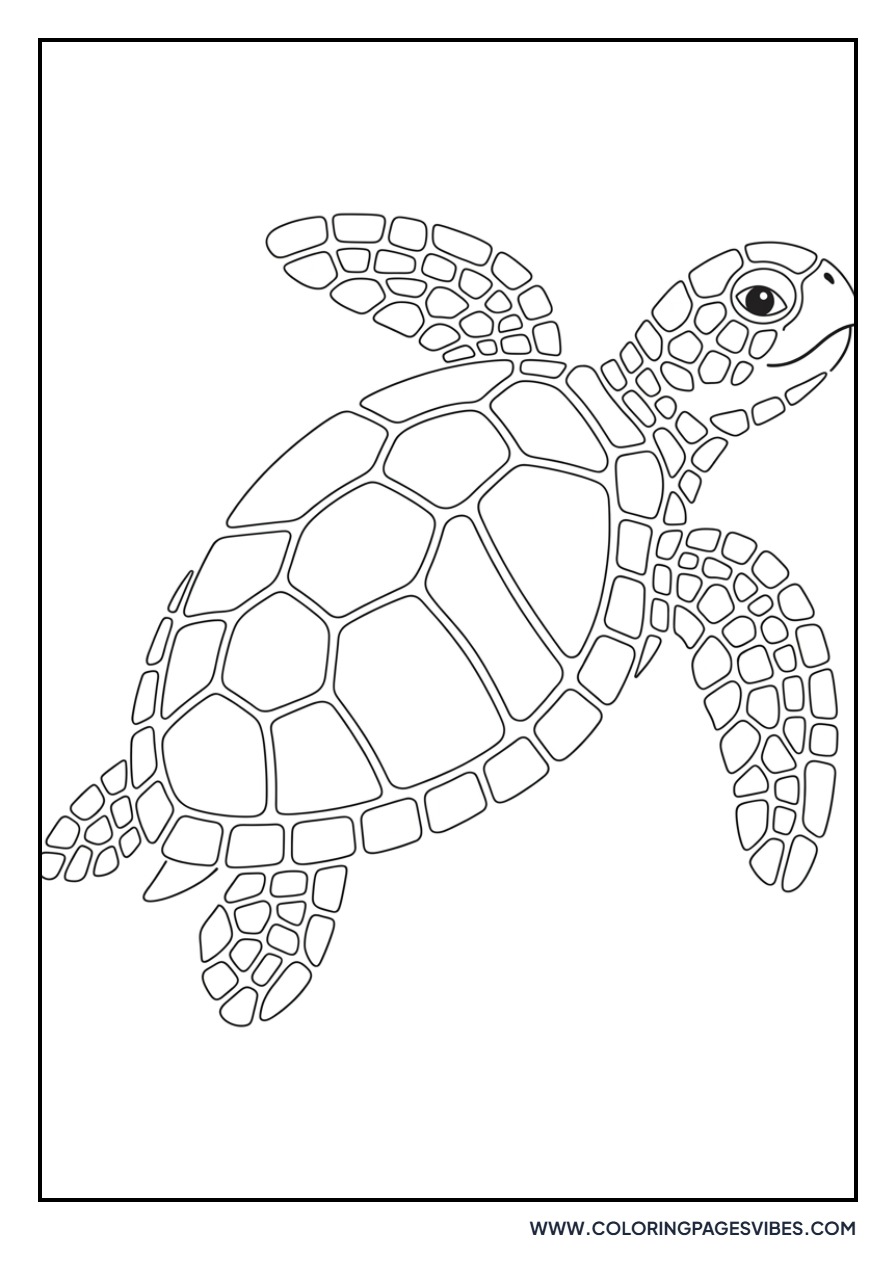 Mosaic Sea Turtle