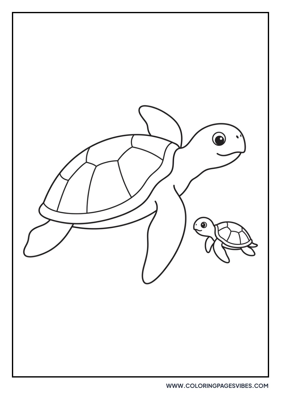 Mother and Baby Turtle