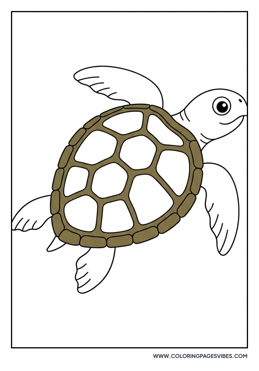 Olive Ridley Sea Turtle