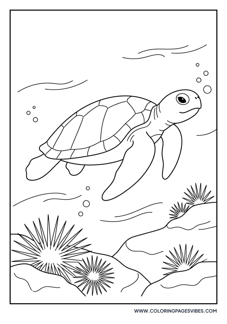 Sea Turtle and Sea Urchins